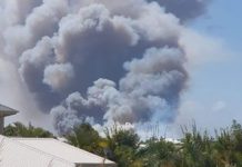 Bushfire affected areas to receive financial counselling