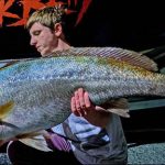 fish_211639_02.jpg