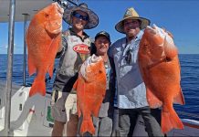 Plenty of fish if you know how to catch them