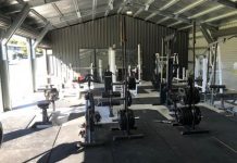 Dolphins on the move