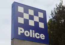Noosa police part of Covid-cops operation