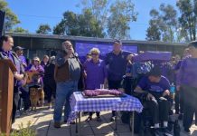 Sunshine Butterflies celebrates 10 years