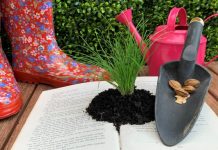 Seed library to help grow community of keen gardeners