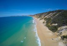 Stars align for Sunshine Coast as Hemsworths drive surge in booking searches