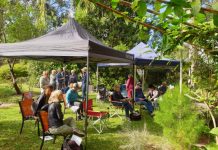 Noosa’s wildlife and native plants flourish