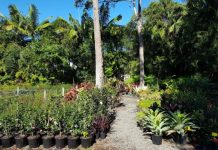 Council forces family business to move