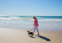 Council warns residents after recent dog attacks