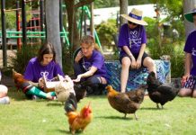 Animal care and education program offered at Butterflies
