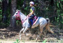 Imbil puts on a Stirling event