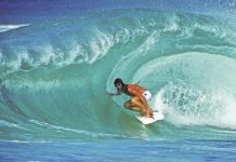 Rabbit runs (for parliament)