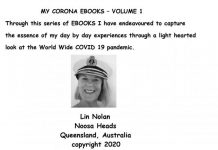 Pandemic blog enters state library