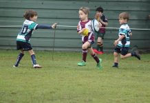 Strong play across Dolphins