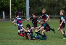 Dragon skills improving