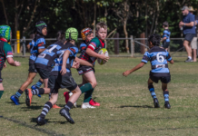 Clash of the Dolphins and Dragons