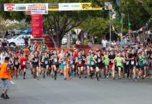 No festivals, no funds