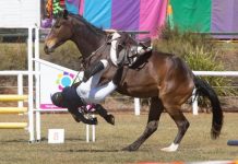 Safe hoof an award finalist