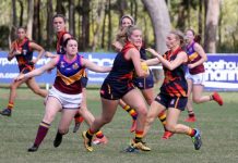 Bronco woes continue