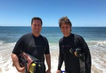 Seaweed knocks out methane emissions