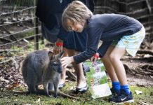Wildlife on show to locals