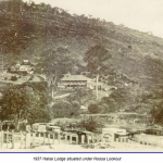 Halse_215788_03.PNG