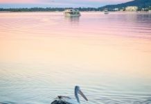 Locals ride the river at half price