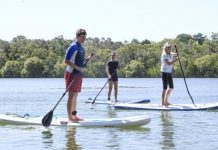 Butterflies take to the sea