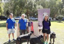 Noosa Mens Shed help support Greyhounds