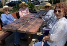 Noosa locals have their say