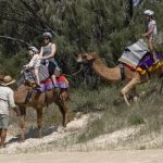 camels_214263_02.jpg