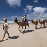 camels_214263_03.jpg