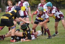 Exceptional play by Dolphins