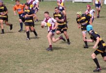 Dolphins never gave up