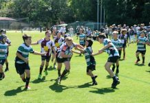 Great performances by Dolphins