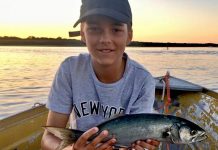 Snapper challenge begins