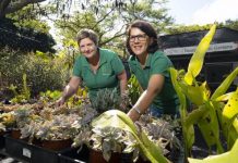 The plant sale of the century