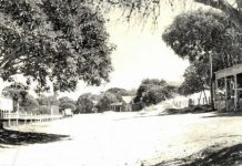 Laguna Bay and Hastings Street