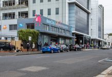 Noosa will be hit hardest by planned JobSeeker cuts