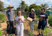 Compost probe put to the test in quest to divert waste from landfill