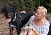 RSPCA fundraiser helping pets