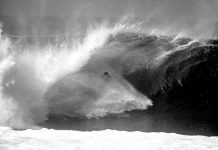 Coast of the kangaroo dawn