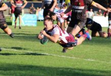 Dolphins triumph over Barbarians