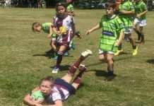 Dolphin juniors back in full swing