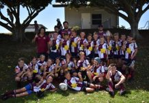 Dolphins prepare for finals