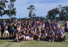 Sensational finals for Dolphins