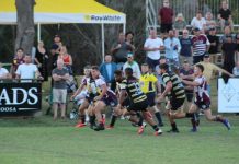 Dolphins seniors head to grand final