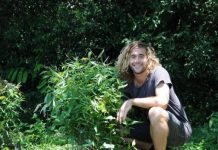 Festivals go waste and carbon free