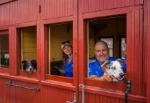 Heritage steam train launches new pet-friendly service