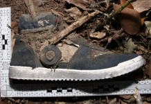 Police appeal for help after discovery of human remains