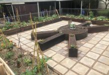 Garden project is teeming with life