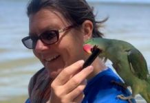 Appeal for witnesses in fatal traffic crash